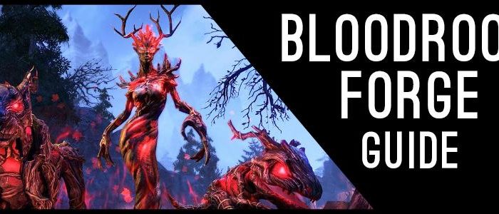 Bloodroot Forge Guide