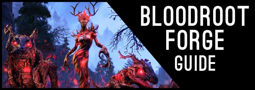 Bloodroot Forge Guide