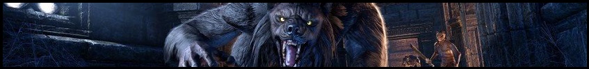 Werewolf Guide