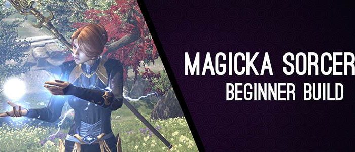 Magicka sorcerer beginner build
