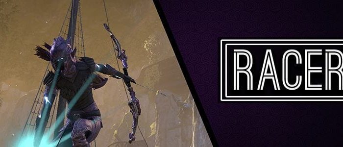 Stamina Warden Bow Build PvE