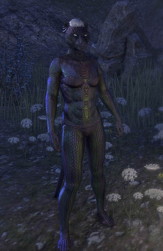 Dead Water skin khajiiit eso