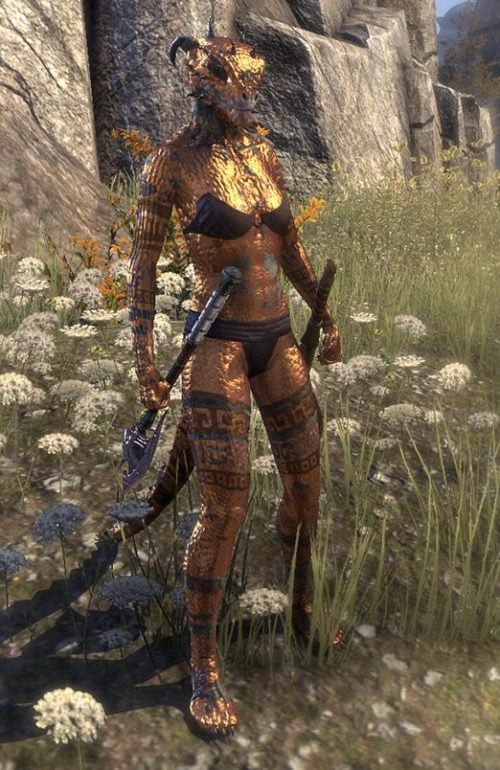 ESO Skins Showcase