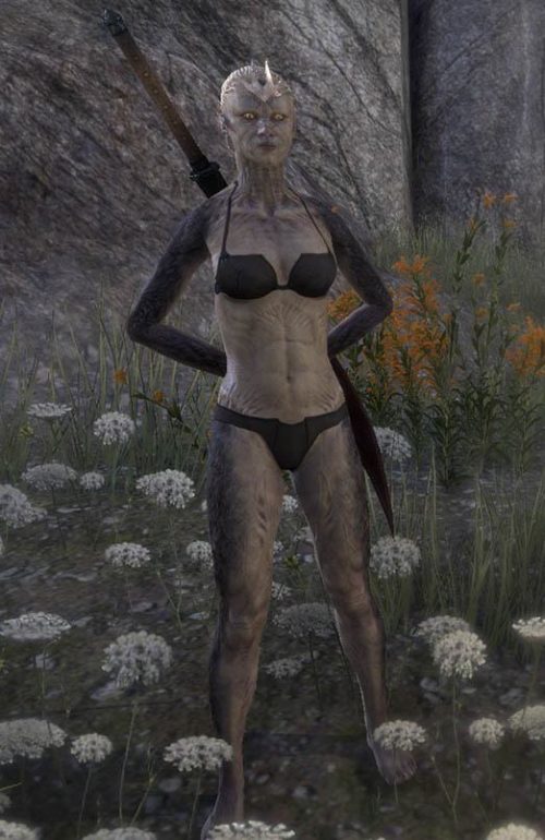 ESO Skins Showcase