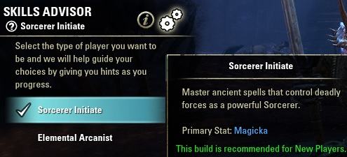 Skill Advisor for new players in ESO