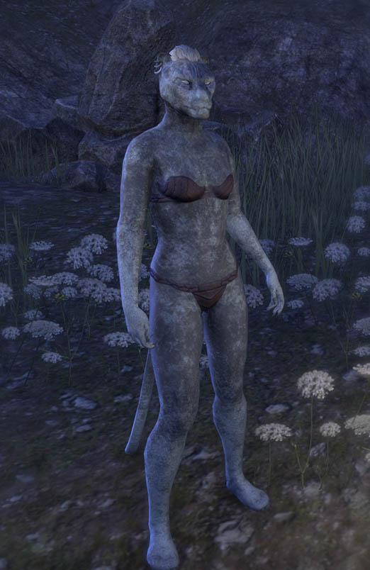 arctic rime skin khajiit eso