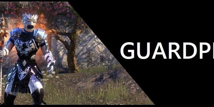 Guardplar Templar Fengrush