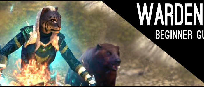 Magicka Warden Beginner Guide