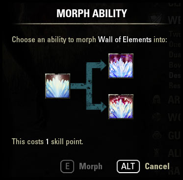 Morphing Guide Purchase Morph