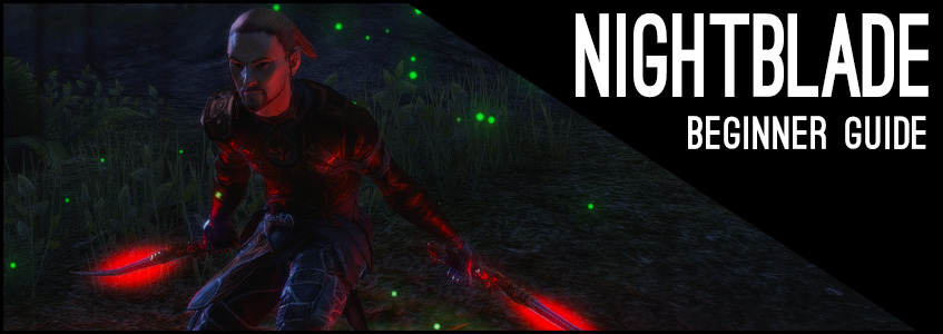 Stamina Nightblade Beginner Guide Header