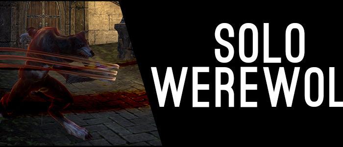 847 solo werewolf banner