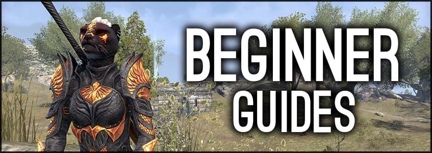 ESO Beginner Guides Banner, Khajiit meditating in the Gold Coast ESO