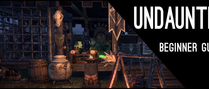Undaunted Beginner Guide Header