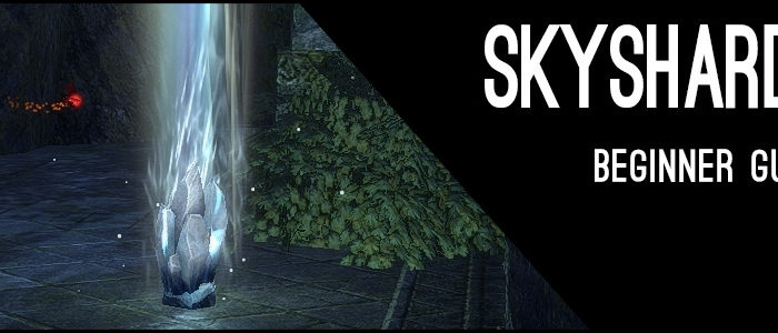 skyshards banner