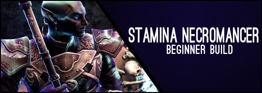 Stamina Necromancer Beginner Build Header