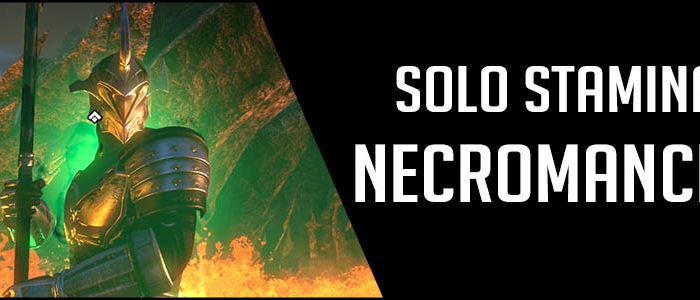 Solo Stamina Necromancer PvE Build Banner picture