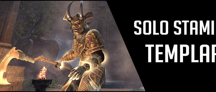 Solo Stamina Templar PvE Build Banner picture