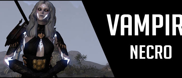 847x300 solo vamp necro setup banner