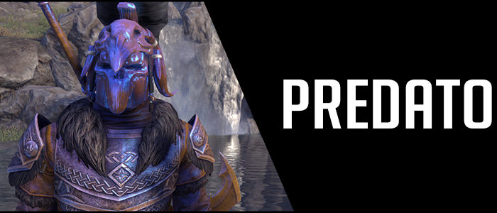 2H Stamina Warden Build PVE DPS Predator Banner Image