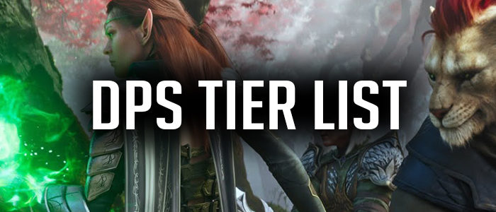 Woodelf and a Khajiit fighting - DPS Tier List Banner Image