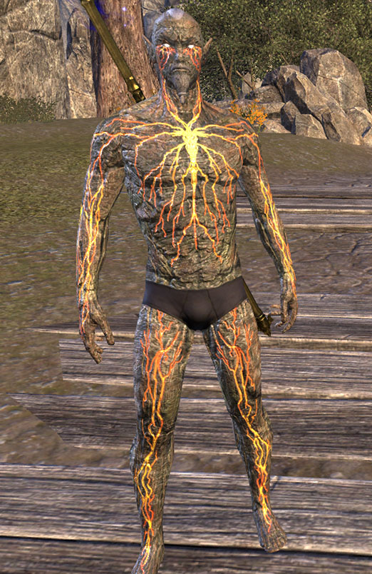 Hist-Tsoko Skin ESO