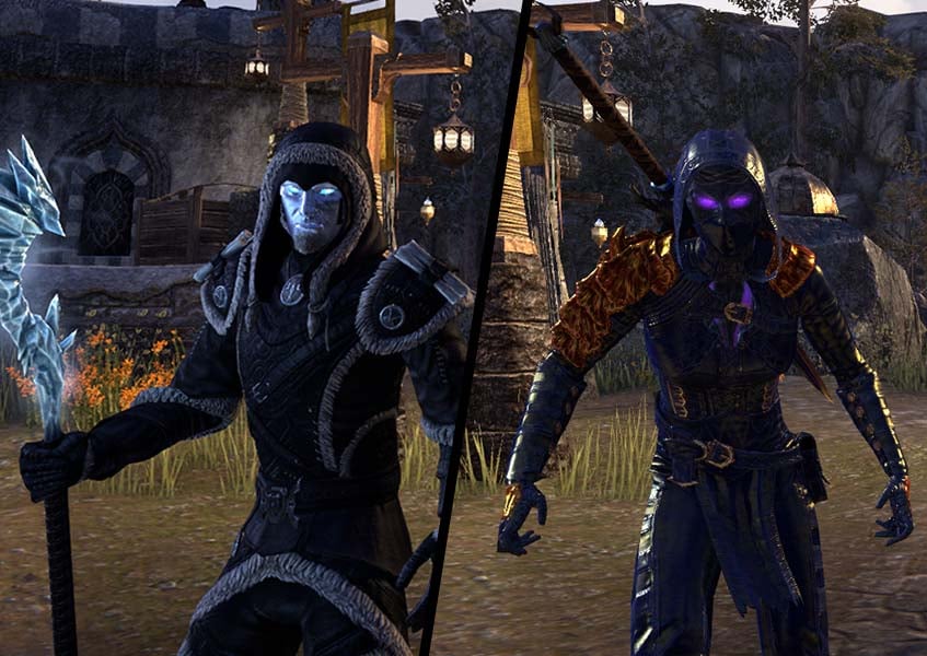 Magicka Stamina Warden Class Build ESO