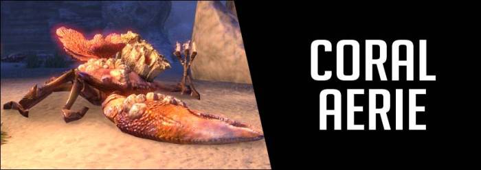 Coral Aerie dungeon guide banner image 847x300 ESO