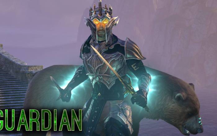 Guardian Stamina Warden Build for ESO Banner Image