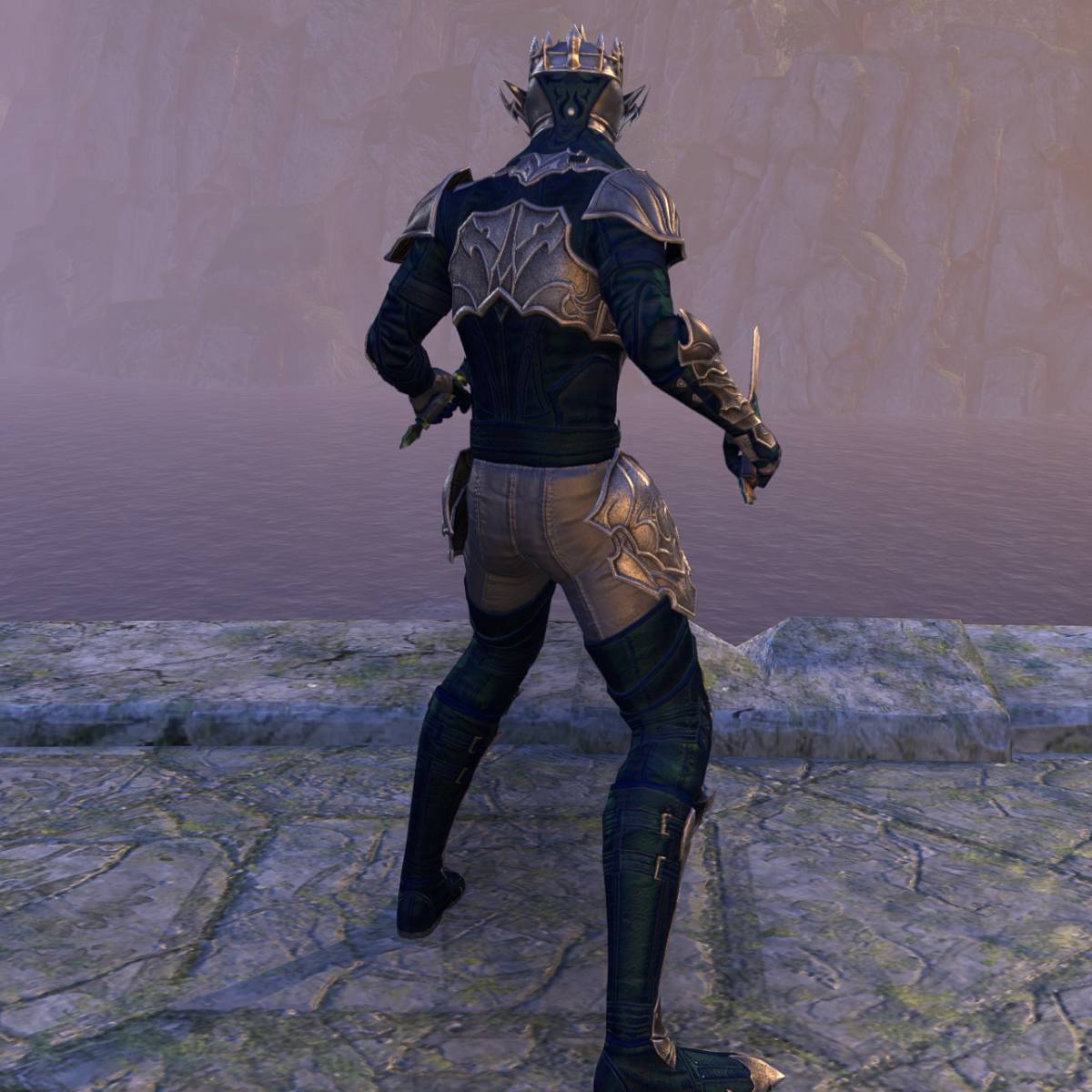 Guardian Stamina Warden Build for ESO Outfit 2