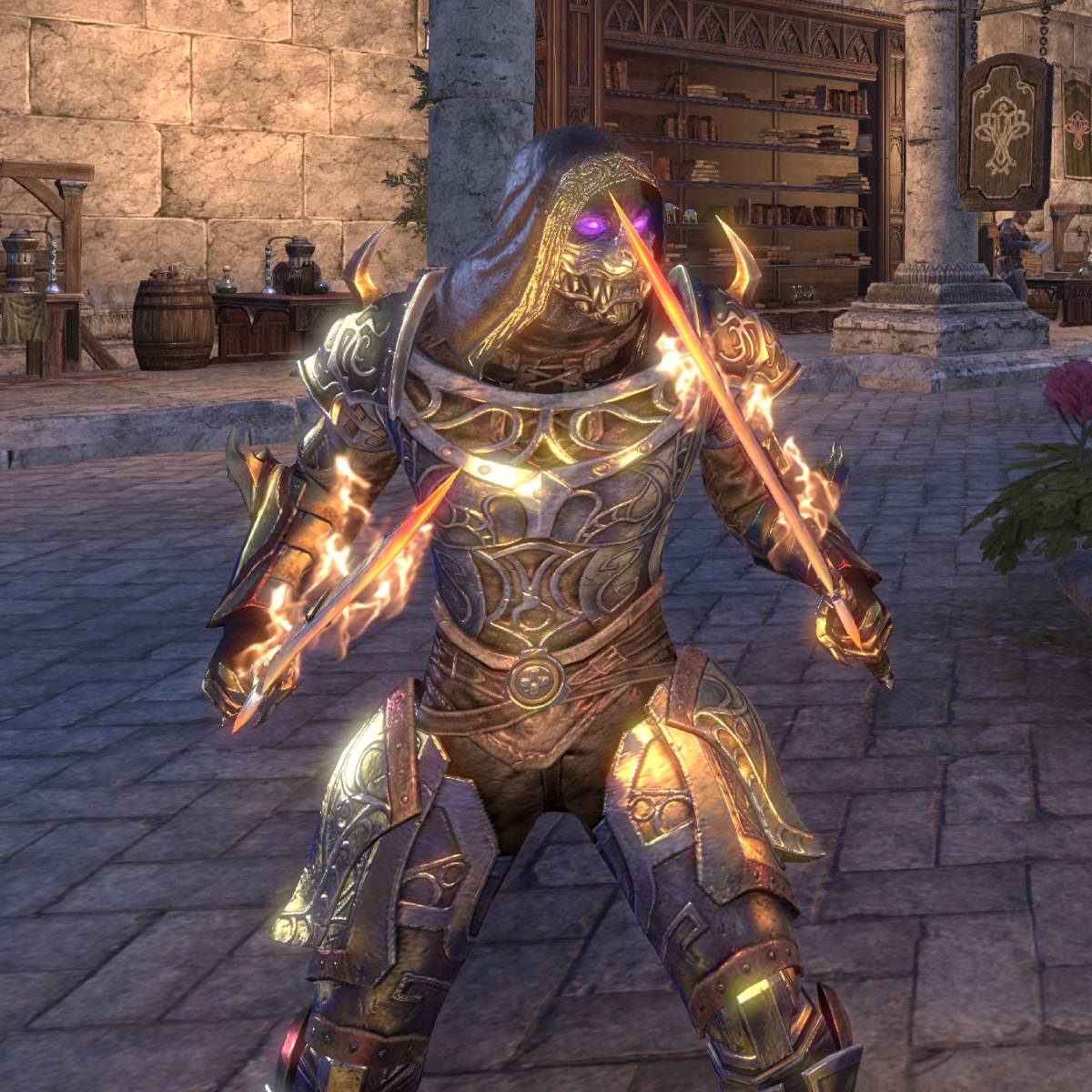 Stamblade Rampage Build Outfit ESO 1