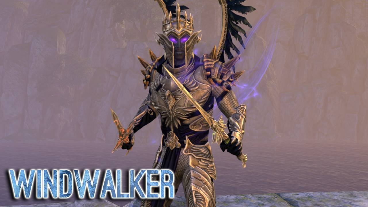 Windwalker Stamina Sorcerer Build for ESO Banner Image