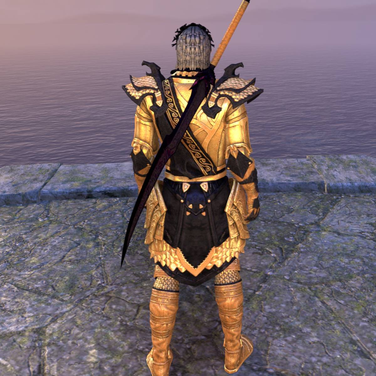 Abyss Stamplar PVP Build for ESO Outfit 2