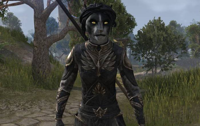 How to unlock Ember the Khajiit Companion in ESO