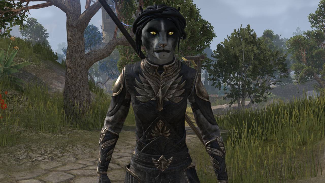 Elder Scrolls Online players are feuding over account-wide achievements