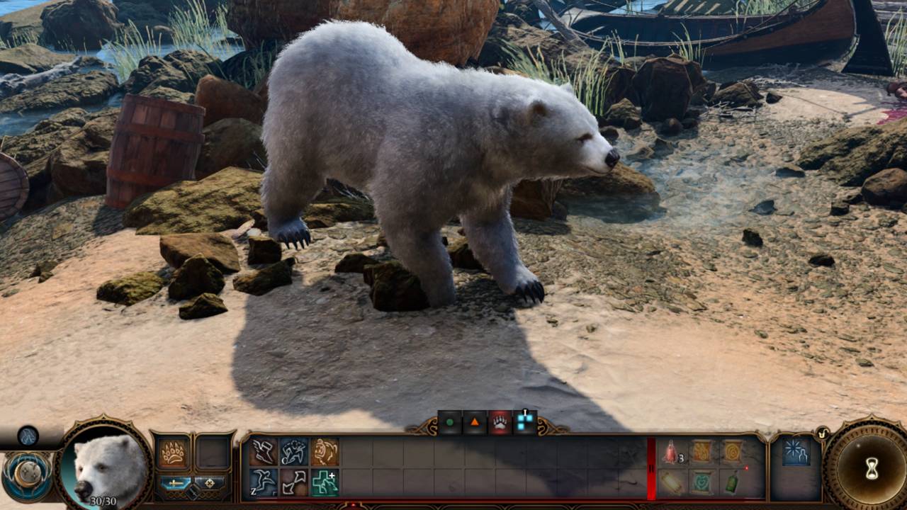 Bear Wild Shape form Druid in Baldurs Gate 3