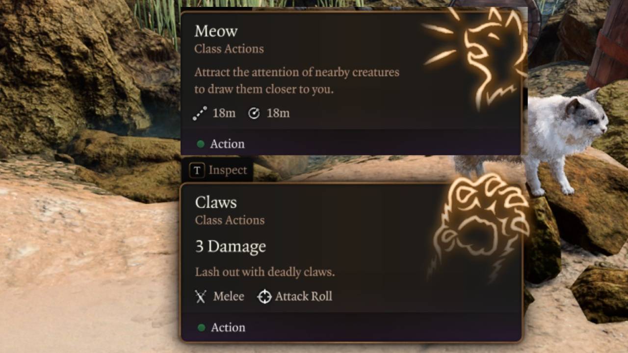 Cat Wild Shape skills for Druid Bg3