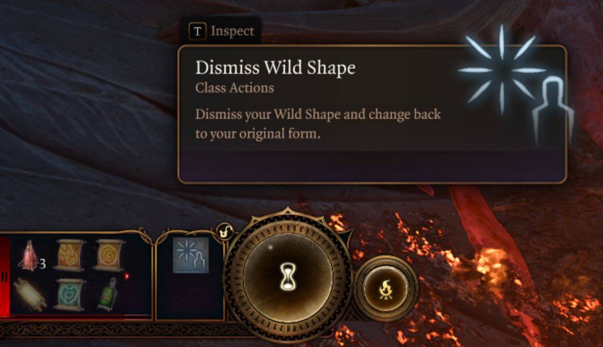 Dismiss Wild Shape Druid Transformation Baldurs Gate 3