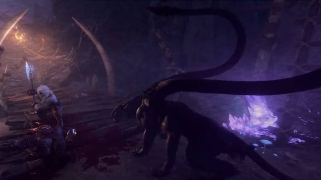 Displacer Beast Druid Transform Tadpole Baldurs Gate 3