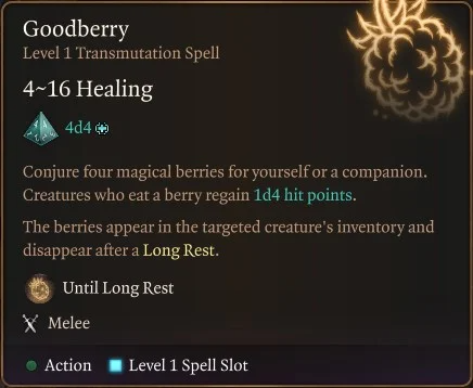 Goodberry Spell for Druid Build BG3