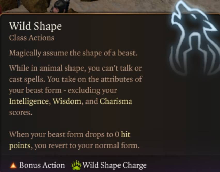 Wild Shape Form Icon Class Action Druid Baldur's Gate 3