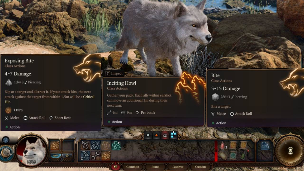 Wolf Shape Form skills for Druid in BG3