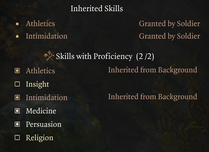 Baldur's Gate 3 Oath of Devotion Paladin Build Skills