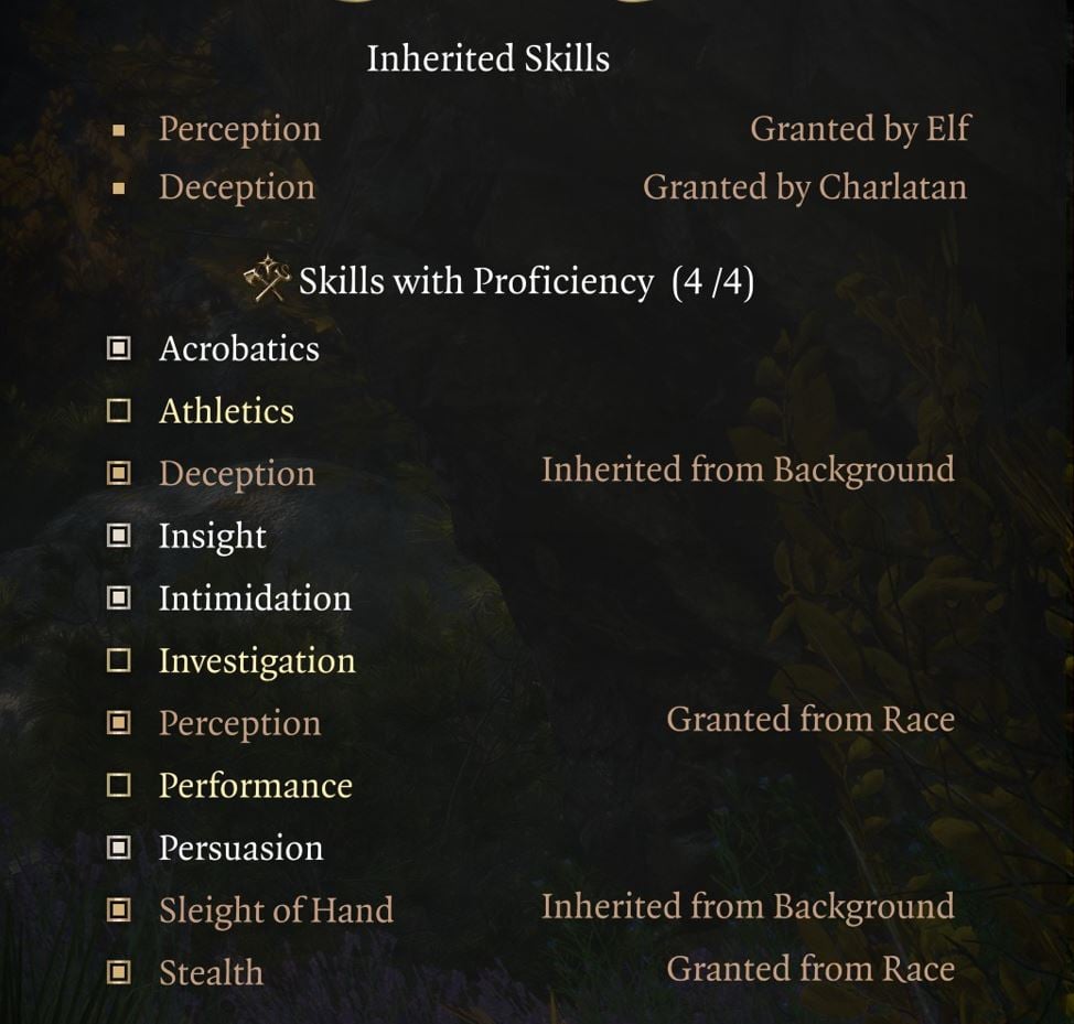 Baldur's Gate 3 Rogue Build Skills