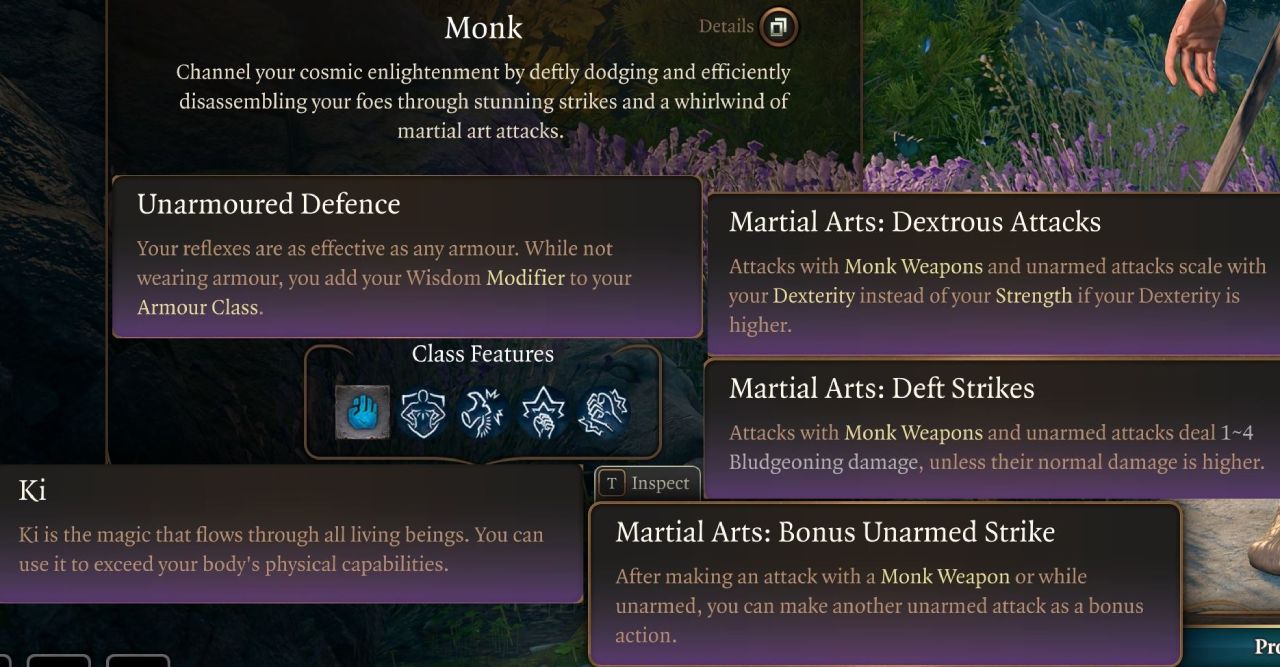 Monk Class Features for Monk Build BG3