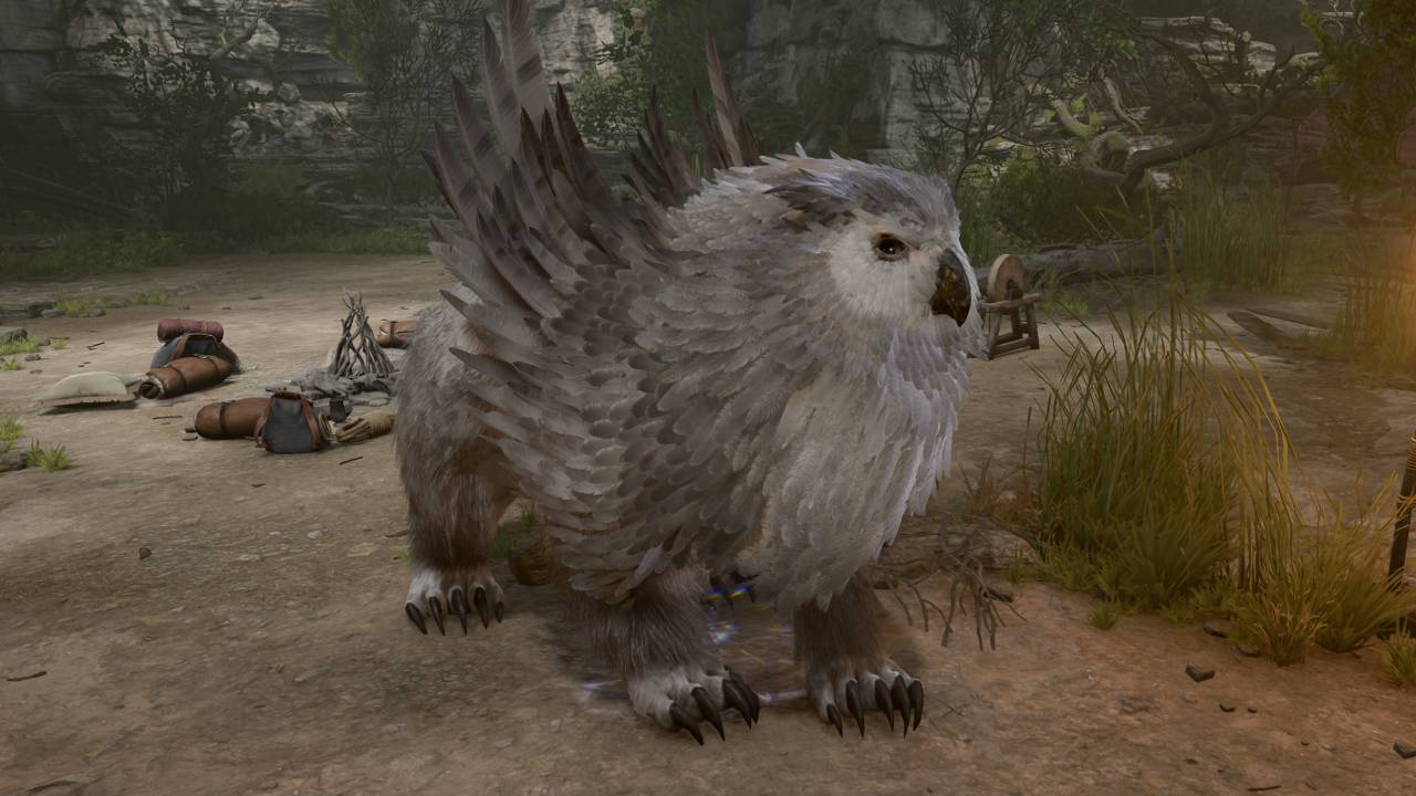 Owlbear Druid Transformation BG3