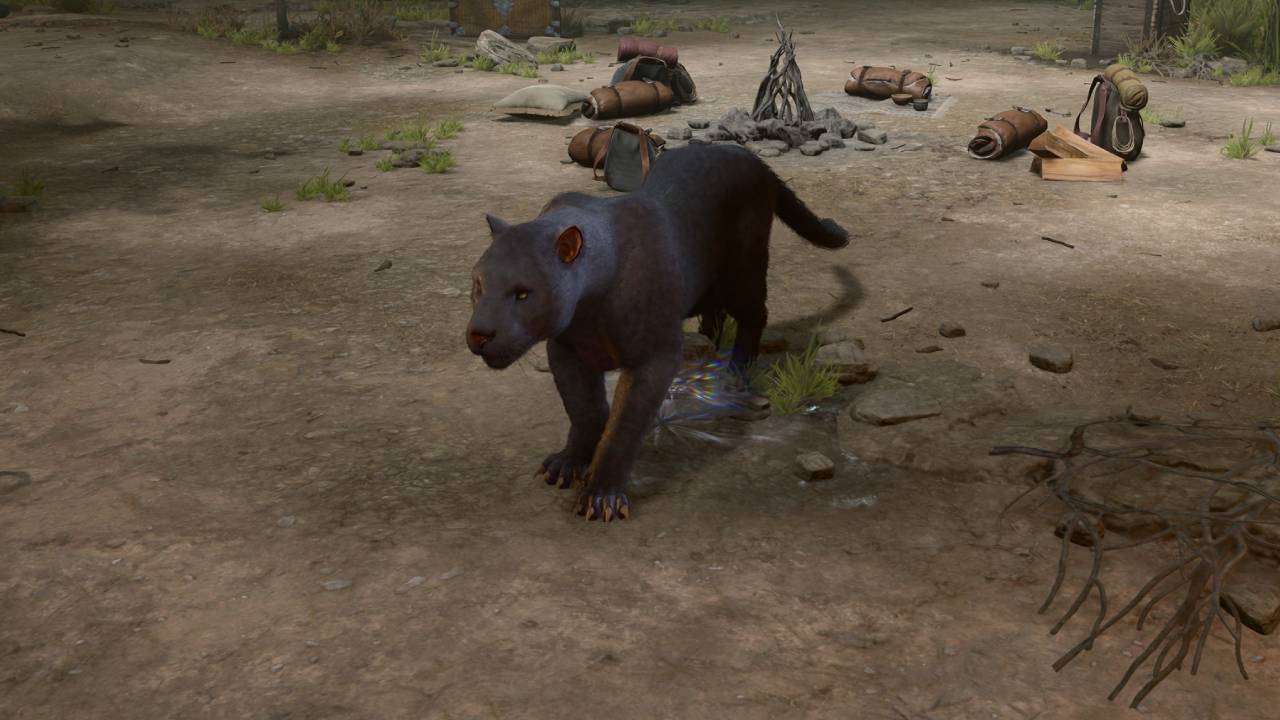 Panther Wild shape form Druid BG3