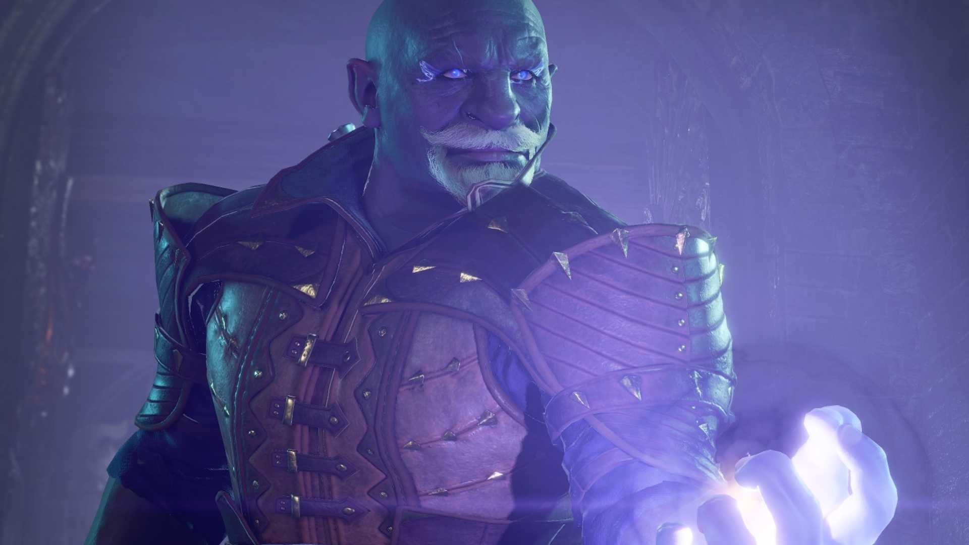 Paladin Bard Multiclass Build BG3