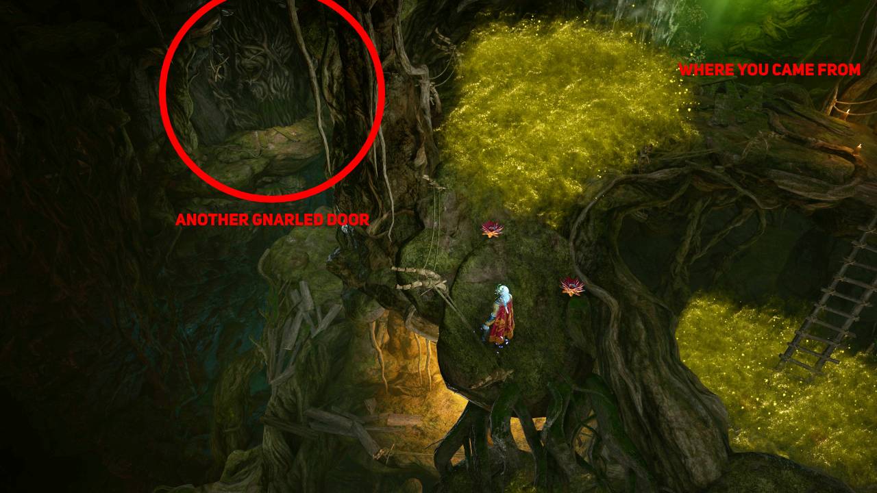 Second Gnarled Door BG3