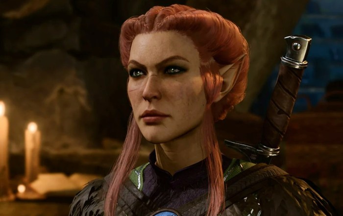 BG3 Circle of Spores Druid Build