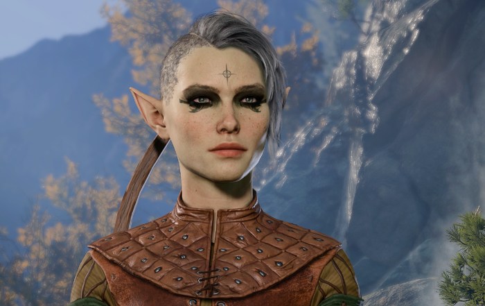 BG3 Beast Master Ranger Build